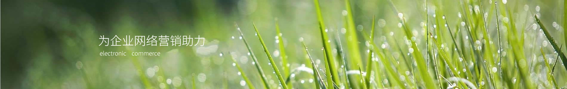ݸѵӿƼ޹˾